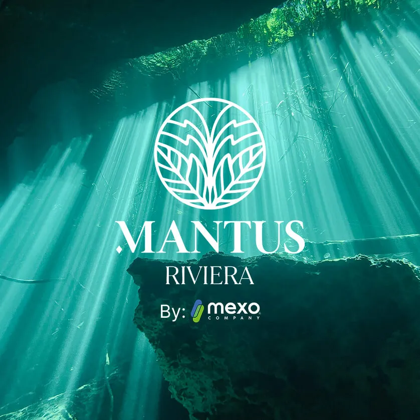 Respaldo del proyecto